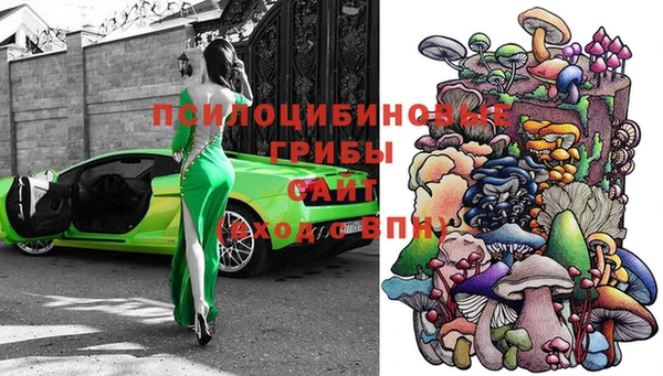 прущий лед Верея