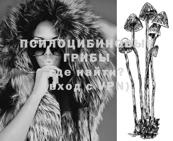 jwh Володарск